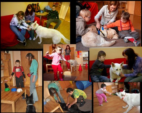 Motýlek canisterapie